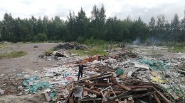 Копии паспортов нашли на незаконной свалке в Петербурге — видео