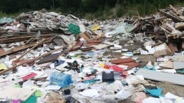 Петербуржец рассказал, как нашел документы с личной информацией граждан на свалке