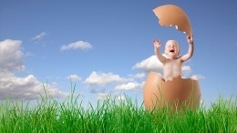 Названы самые популярные имена для новорожденных в Петербурге в 2019 году