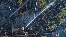 Сибирь и Дальний Восток задыхаются от лесных пожаров — видео