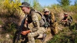 Украинский журналист «призвал» к военному вторжению в Россию