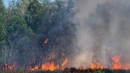 Пожары в Сибири: почему не помогают самые эффективные способы?