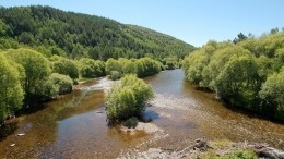 Застрявших в тайге Бурятии туристов эвакуировал вертолет Ми-8