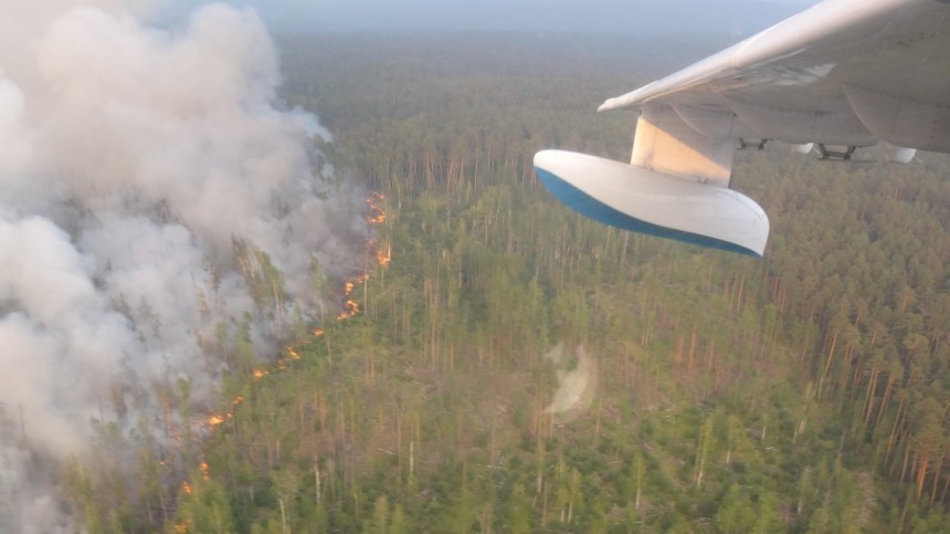 Авиация МЧС приступила к тушению лесных пожаров в Красноярском крае — фото