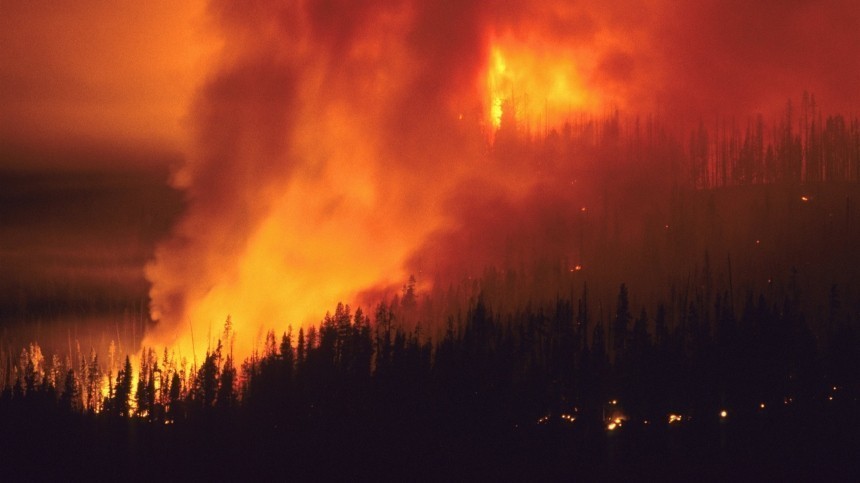 «Положение сложное»: Глава правительства провел совещание по ситуации с лесными пожарами
