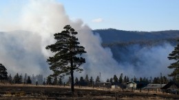 Видео: Площадь лесных пожаров в России превысила три миллиона гектаров