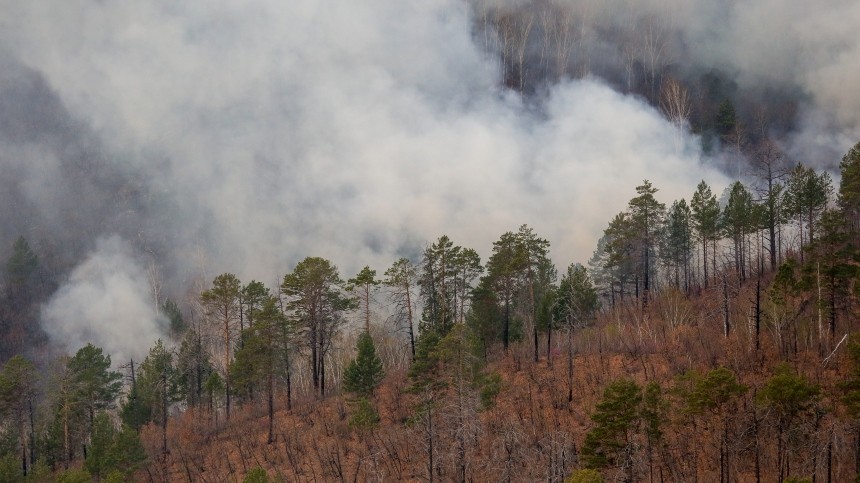 Уголовное дело о халатности возбуждено в Красноярском крае из-за лесных пожаров