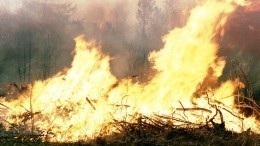 Видео: Как тушат лесные пожары в Сибири