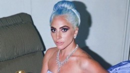 Мозг из мусора: Леди Гага дерзко ответила хейтерам снимком топлес