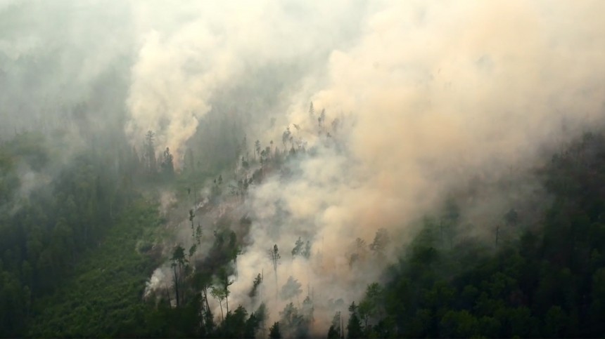 Дым от лесных пожаров провоцирует заболевания, эксперт рассказал какие именно
