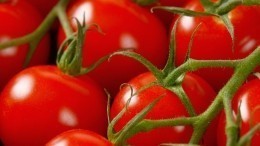 Маринованные томаты черри: простой и вкусный рецепт заготовки на зиму