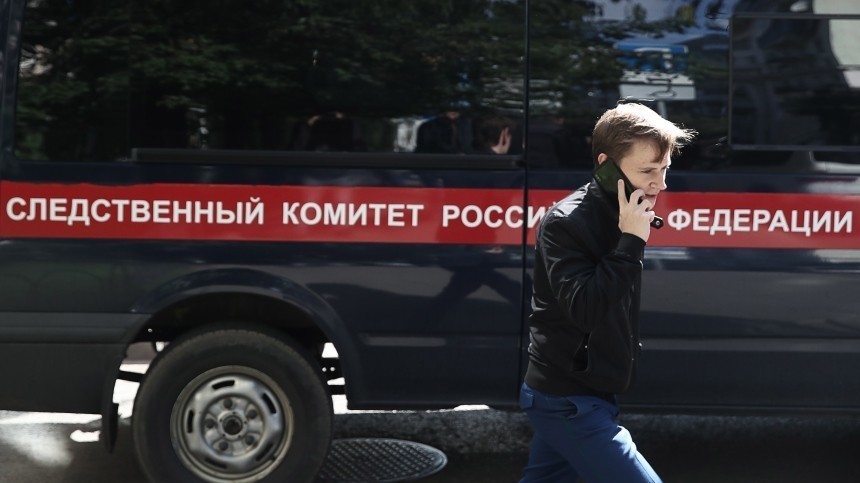 СК проверит обращение активистки об избиении полицейским после митинга в Москве