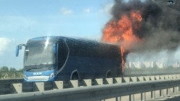 Люди, прихватив цветы, выпрыгивали из горящего автобуса в Петербурге