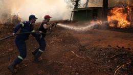 Видео: На греческой Эвбее эвакуируют жителей из-за лесных пожаров