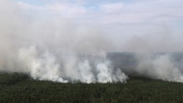 В Минприроды рассказали о мероприятиях по предотвращению лесных пожаров