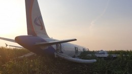 Список пострадавших при аварийной посадке А-321 в Подмосковье