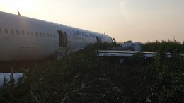 Кто они, герои, спасшие жизни более 200 пассажиров самолета А-321 в Подмосковье?
