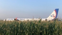 «Сложнее чуда на Гудзоне» — эксперт об аварийной посадке самолета А-321
