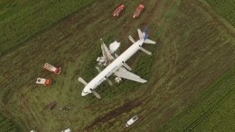 «На память»: Пилот самолета A-321 забрал с места аварии початок кукурузы