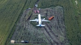 Специалисты начали подготовку эвакуации А-321 с кукурузного поля в Подмосковье