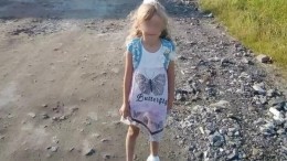 Пропавшая в лесах Нижегородской области девочка найдена живой спустя три дня