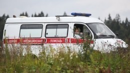 Состояние девочки, найденной в лесу в Нижегородской области, врачи оценили как тяжелое