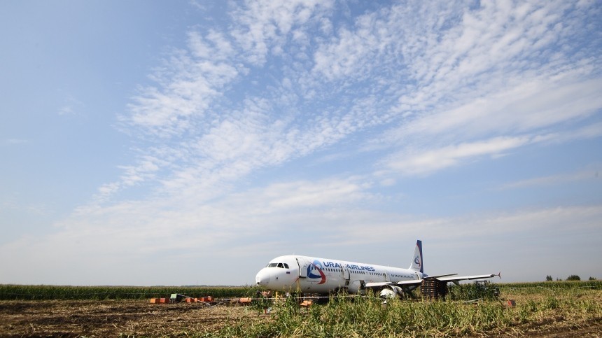 «Черные ящики» Airbus А321 зафиксировали столкновение с птицами при взлете