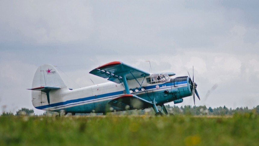 Самолет Ан-2 совершил жесткую посадку на поле с подсолнухами в Курской области