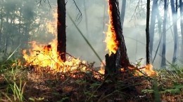 Природные пожары в Иркутской области полностью ликвидированы