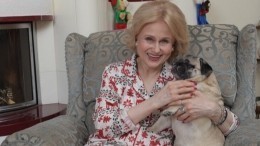 Видео: собаки Дарьи Донцовой уморительно воруют со стола капусту