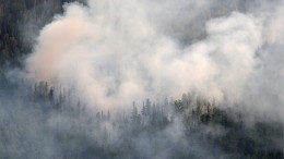 Волгоград задыхается от дыма — видео