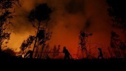 Видео: Масштабные лесные пожары терзают Индонезию