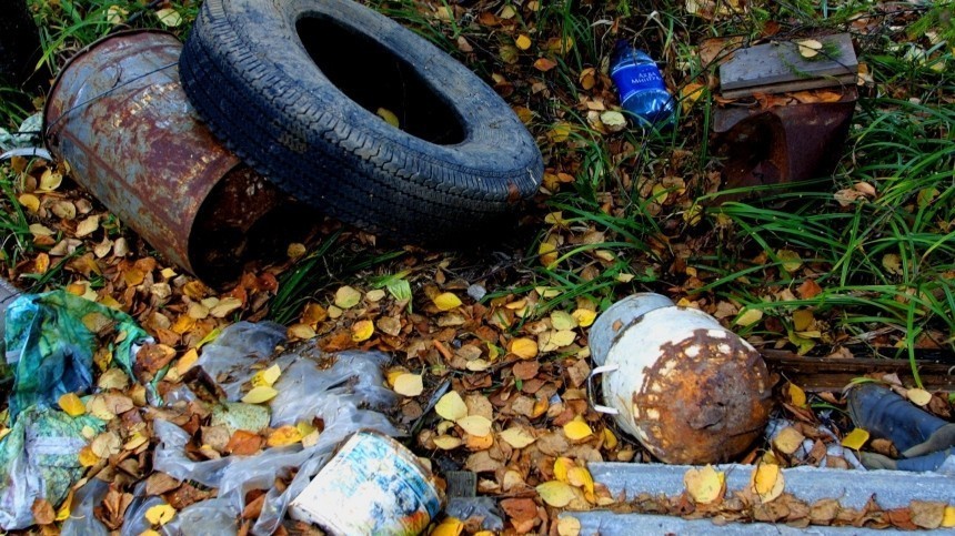 В Петербурге в мусорной куче нашли останки обгоревших тел