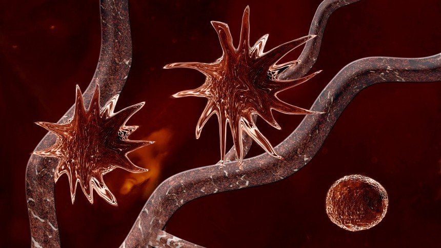 Ученые обнаружили естественное препятствие развития рака