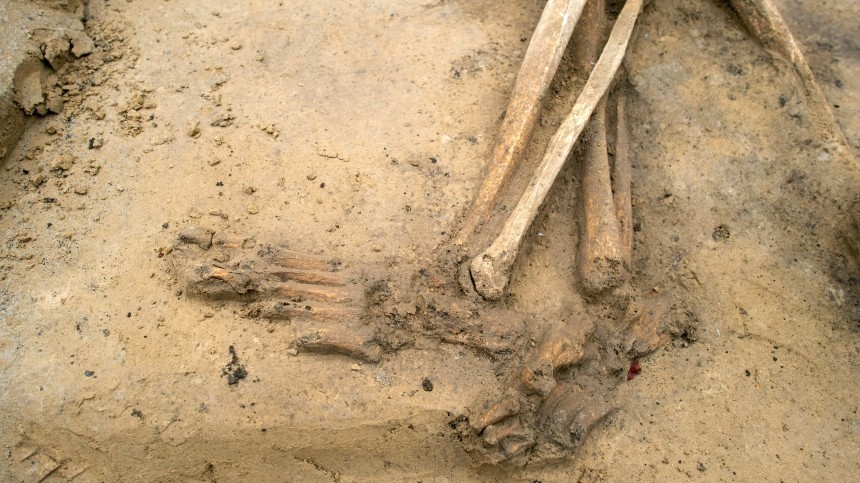 При строительстве супермаркета в Алтайском крае нашли человеческие скелеты