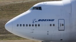 Видео: Boeing пропустил лису, прогуливающуюся по взлетной полосе «Шереметьево»