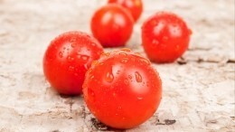Лайфхак: Как максимально легко и быстро порезать помидоры «черри» — видео