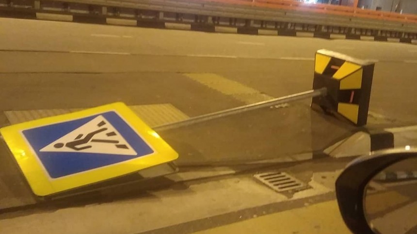 Сильный ветер повалил дорожные знаки в московском «Шереметьево»