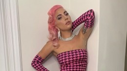 Тотал-лук: Леди Гага с розовыми волосами зажгла на свадьбе подруги