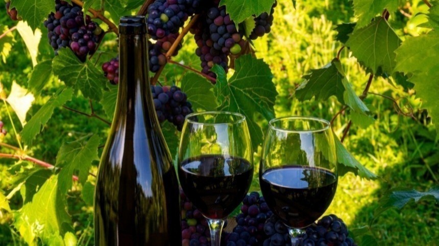 В Совфеде объяснили важность законопроекта о виноградарстве и виноделии
