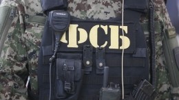 ФСБ задержала россиянина, пытавшегося продать иностранцам секретные разработки РФ
