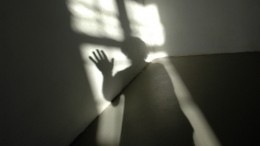 Сыктывкарский педофил, изнасиловавший девочку прямо в школе, засветился на видео