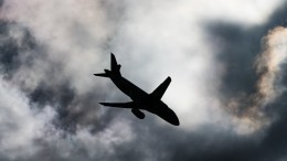 Авиакомпания: Причиной отказа двигателя самолета стало попадание птицы