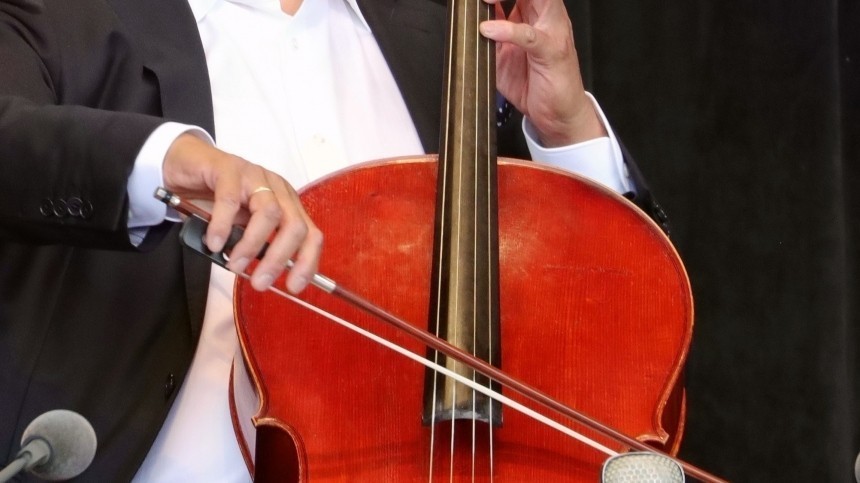 Известного виолончелиста обманули в Москве на 150 тысяч рублей