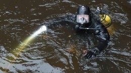 Череп, который нашли в Мойке во время поисков тела убитой студентки, оказался учебным