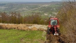 «Позор!»: оппозиция требует референдума о земле и доверии к власти на Украине