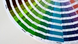 Институт цвета Pantone назвал главный цвет 2020 года — видео