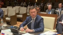 Матвиенко предложила наказать Новака за волокиту с внедрением «умных» счетчиков