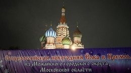 Главную новогоднюю ель России доставили в Кремль