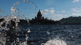 Видео: Десятки деревьев и дорожных знаков повалило ураганным ветром в Петербурге